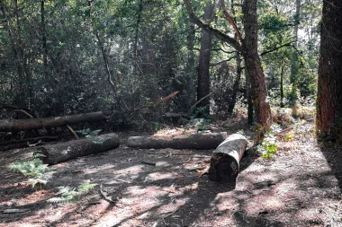 Parc de Mandavit de Gradignan (7).